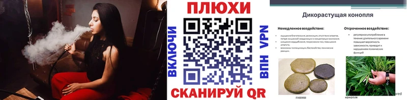 Гашиш гашик  кракен как зайти  Злынка 