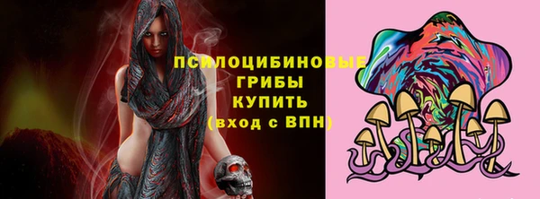 винт Алзамай
