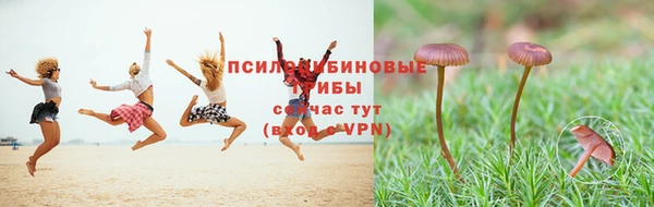 не бодяженный Алексин