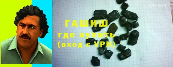 спиды Ельня