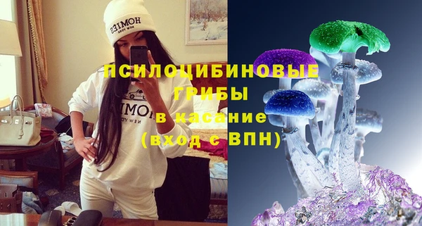 не бодяженный Алексин