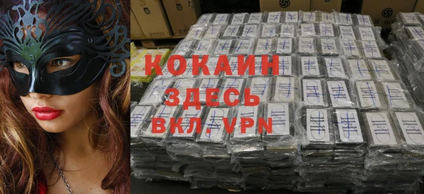 не бодяженный Алексин