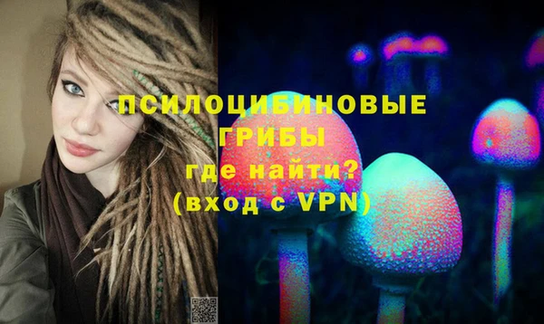 винт Алзамай