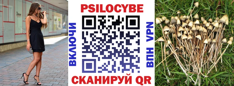 Галлюциногенные грибы мухоморы  Злынка 