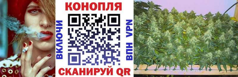 Бошки марихуана AK-47  Злынка 